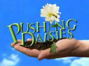 Pushing Daisies